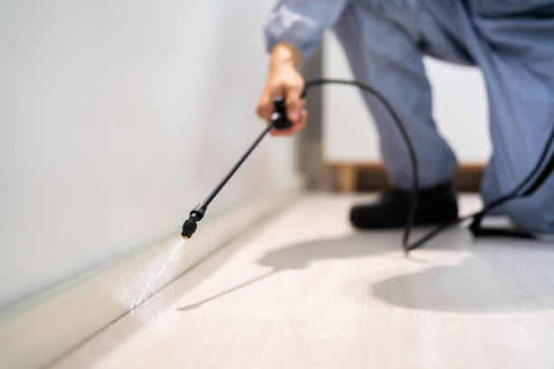 Bed Bug Pre-Treatment Preparation Assessment in Blaine