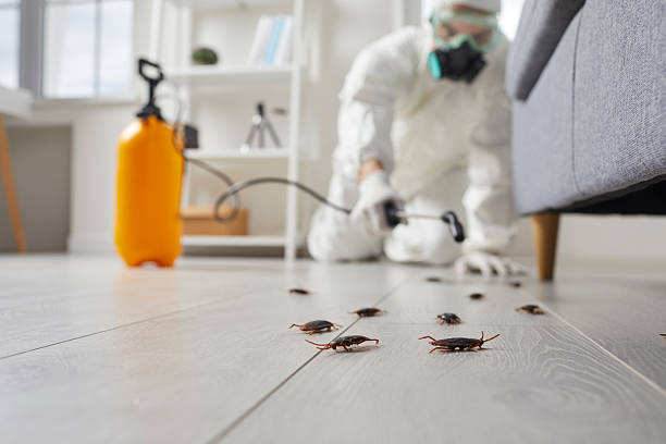 Post-Treatment Bed Bug Interceptor Monitoring in Blaine