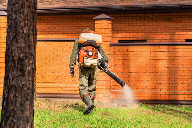 Bed Bug Clearance Verification and Documentation in Blaine
